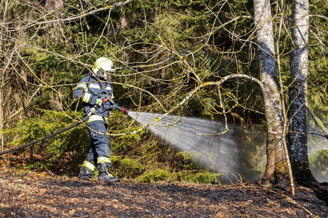 Feuer in einem Waldstück in Lichtenau im Mühlkreis, Ortschaft Hörleinsödt | Foto: TEAM FOTOKERSCHI / FRANZ PLECHINGER
