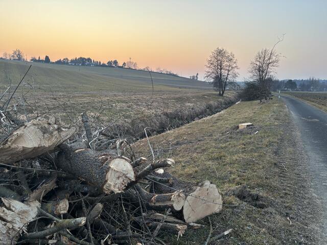Foto: Martin Wurglits