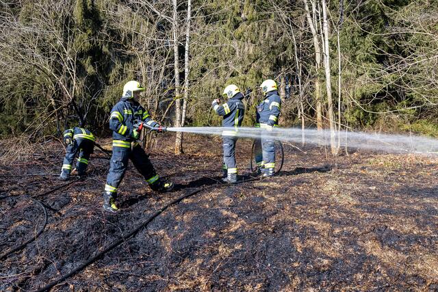 Foto: TEAM FOTOKERSCHI / FRANZ PLECHINGER
