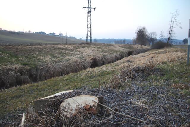 Auf weiten Strecken des Zickenbach-Laufs - hier zwischen Steingraben und Sulz - ist nicht mehr viel übrig, was in künftigen Jahren noch gefällt werden könnte. | Foto: Martin Wurglits