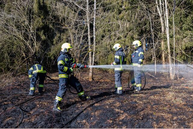Foto: TEAM FOTOKERSCHI / FRANZ PLECHINGER