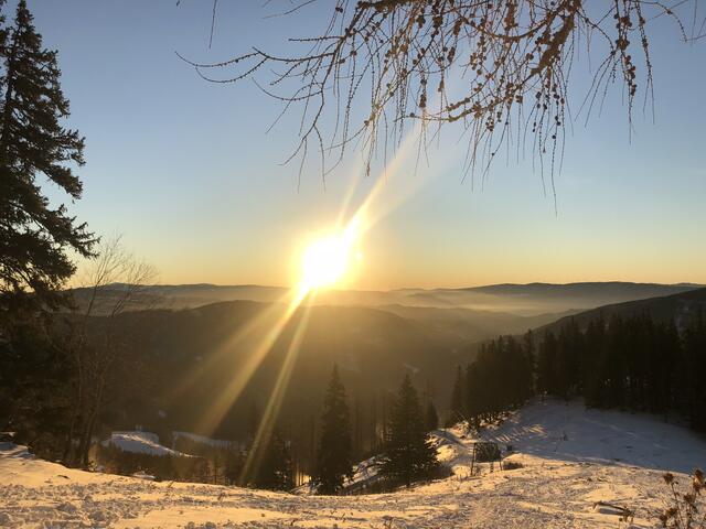 Die Sonne soll sich diese Woche einige Male blicken lassen. | Foto: Gärtner