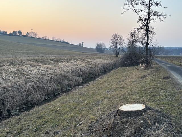 Foto: Martin Wurglits