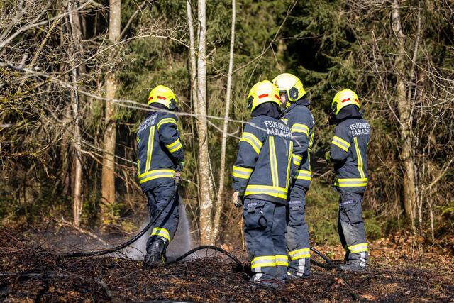 Foto: TEAM FOTOKERSCHI / FRANZ PLECHINGER