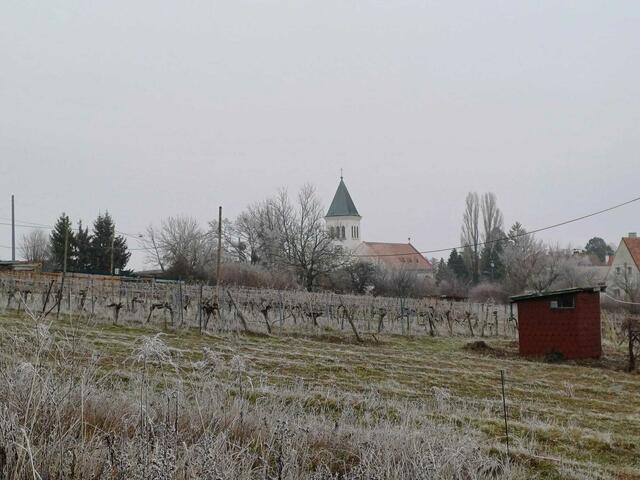 Um die Kirche zu unterstützen, kann man jetzt auch einen eigenen Wein erwerben.  | Foto: kms