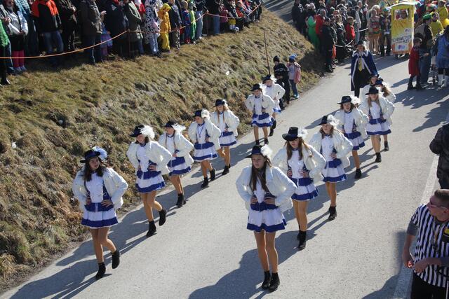 Foto: Faschingsverein "Sauzipf"