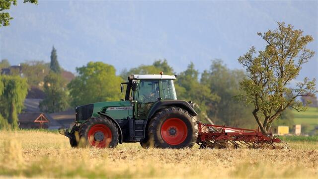 Die Landwirtinnen und Landwirte aus NÖ wählen am 9. März ihrw Vertetung. | Foto: pixabay (Symbolfoto)