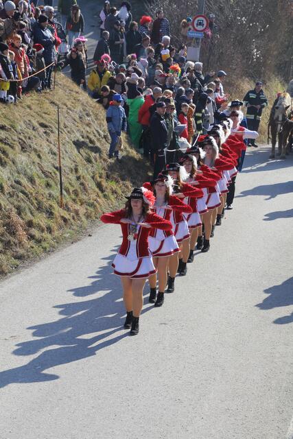 Foto: Faschingsverein "Sauzipf"