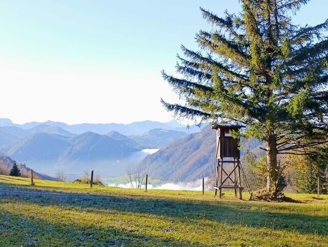 "Totale Lebensbereicherung": Laut Sieghartsleitner finden viele Menschen bei der Jagd zur Ruhe. | Foto:  OÖ LJV