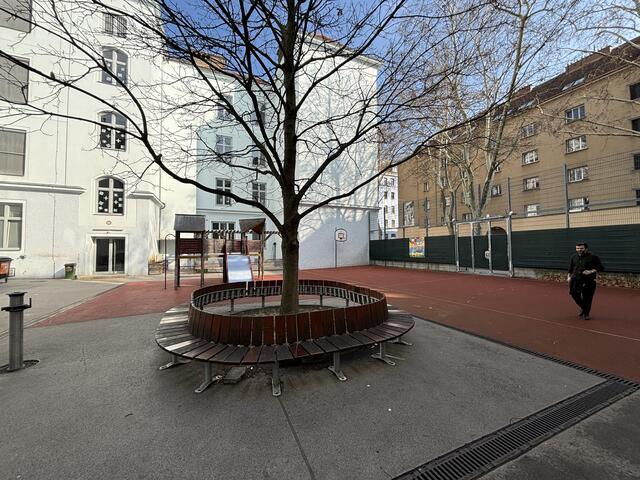 Vieles Neues wird im Schulhof kommen, der Baum wird bleiben. | Foto: Nathanael Peterlini
