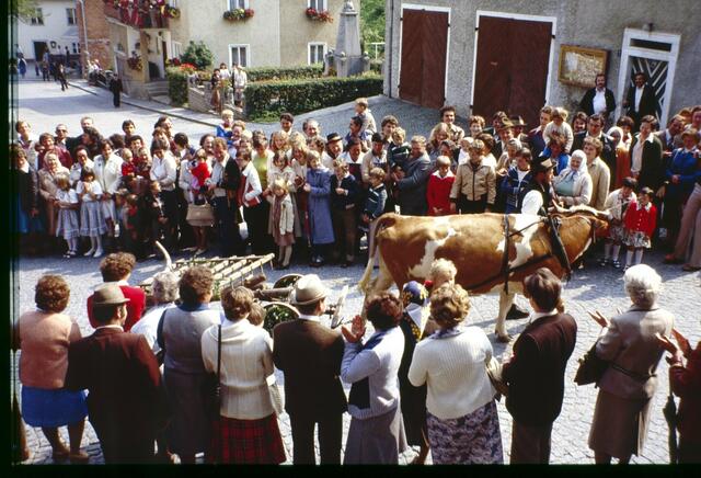 Foto: Hermann Pernsteiner