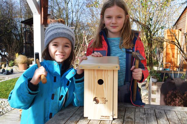 Jetzt ist die richtige Zeit, um Nistkästen für Vögel im Garten anzubringen. | Foto: Gudrun Fuss/Naturschutzbund