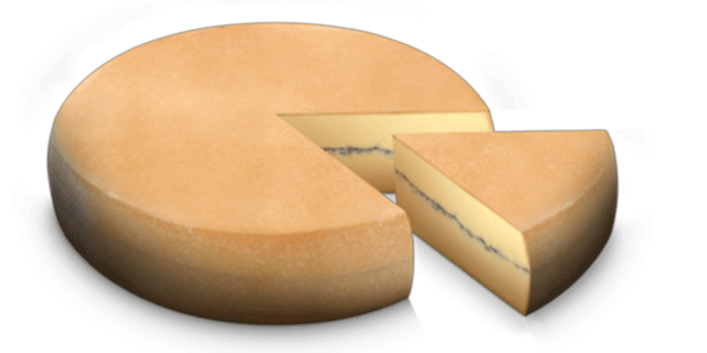 Bakterielle Verunreinigung  | Foto: Jean Perrin