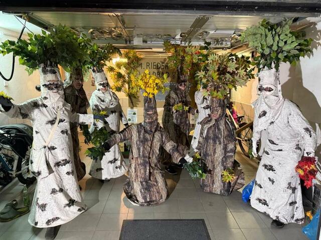 Gruppenwaldverkleidung mit Birke und Eiche in Oberösterreich | Foto: willhaben