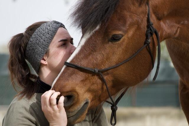 "Pferde sind wahre Experten für nonverbale Kommunikation." | Foto: Julia Kerezsi 
