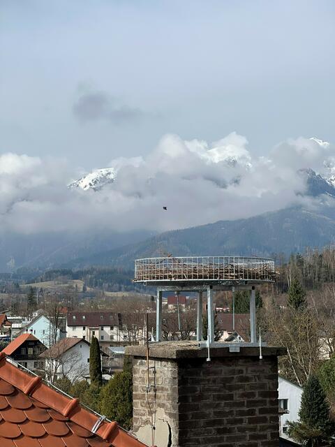 Fertig montiert wartet der Horst am Dach des Pfarrhofes Trofaiach auf die ersten Gäste.  | Foto: Trafella