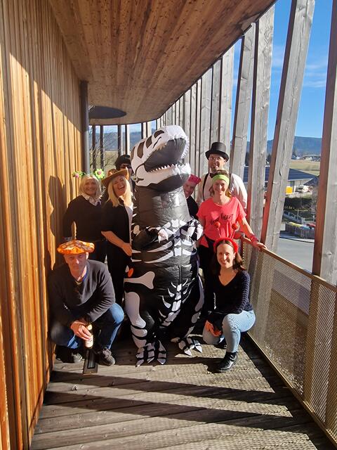 Karneval | Foto: Ebster Holding