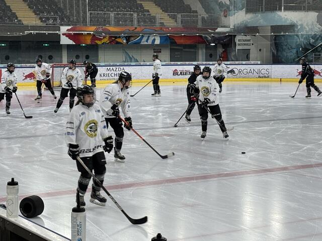Die Salzburg Eagles beim Training in der Eisarena. | Foto: Schrofner