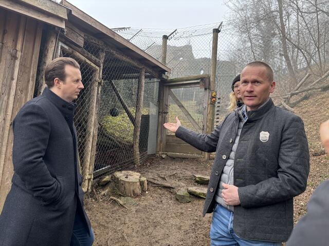 Tierarzt und zoologischer Leiter Reinhard Pichler (r) erklärte die Bedeutung des Zuchtprogramms für das die Tierwelt Herberstein ausgewählt wurde. | Foto: Margot Jeitler