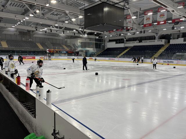 Das Frauen-Eishockey ist in Österreich sehr unterrepräsentiert. Die Eagles hoffen auf eine Kooperation mit dem EC Red Bull Salzburg, um mehr Aufmerksamkeit zu generieren. Doch bisher waren die Versuche ergebnislos. | Foto: Schrofner