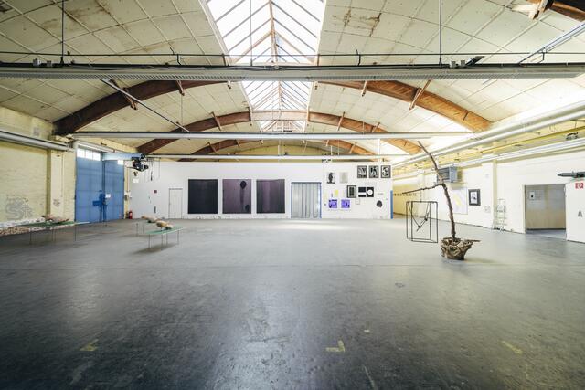 Foto: Daniel Dutkowski