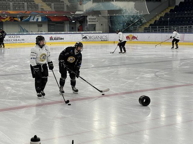 Die Eagles wurden zwei Mal Österreichischer Meister (2006 und 2009) und zuletzt 2021 Vizemeister. Fünf Mal wurde man Vizemeister in der EWHL (zuletzt 2017). | Foto: Schrofner