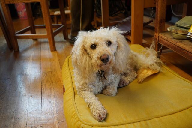 Foto: Nicole Hettegger