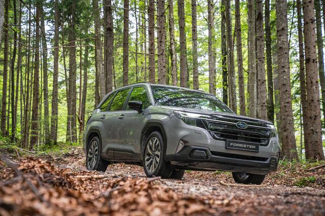 Der neue Subaru Forester feierte kürzlich seine Premiere und rollt nun zu den österreichischen Subaru-Händlern. | Foto: Subaru