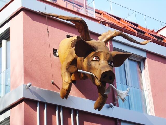 Na da schau her! In Währing schaut ein Glücksschwein von einer Fassade herab. | Foto: C. Jost