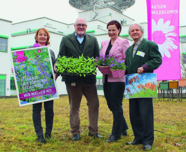Sorgen bei grauem Wetter für bunte Akzente: Projektleiterin Christine Podlipnig, ORF-Landesdirektor Gerhard Koch, Walburga Seidl, Vorstandsmitglied der Steiermärkischen Sparkasse und Johannes Gepp (v.l.) vom Naturschutzbund Steiermark beim Auftakt der Aktion Wildblumen 2025 | Foto: Blühen &amp; Summen
