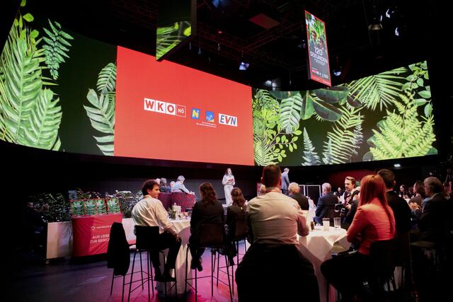 Foto: Daniela Matejschek