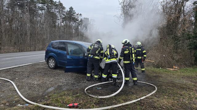 Insgesamt waren zehn Mitglieder der FF Leopoldsdorf und Lassee im Einsatz. | Foto: FF Leopoldsdorf
