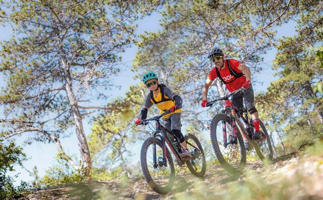 Radprofi Bernhard Kohl ist ebenfalls gerne im Wienerwald mit dem MTB unterwegs.  | Foto: Theresa Ferstl