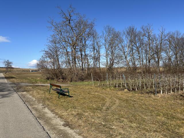 Hier geht Doris Hasenberger mit ihrer Hündin regelmäßig spazieren. | Foto: Alexandra Goll