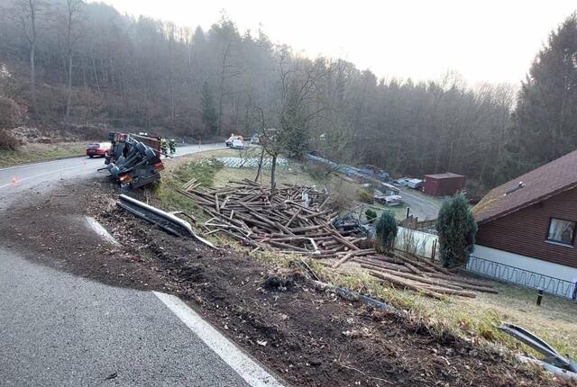 Der LKW kippte daraufhin auf die Seite, und seine gesamte Holzladung verteilte sich in einem angrenzenden Garten.  | Foto: DOKU-NÖ