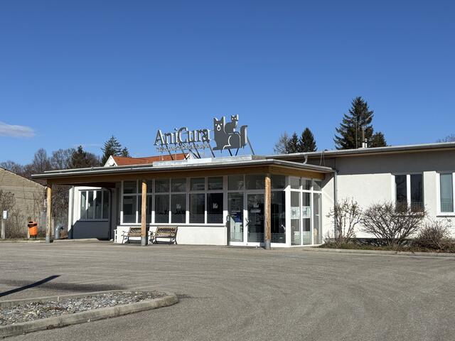 In der Tierklinik AniCura in Hollabrunn wurde Joyce schnell geholfen. | Foto: Alexandra Goll