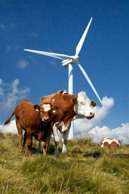 FPÖ fordert sofortigen Stopp von Planung und Projektumsetzungsschritten für die Windenergie in Tirol. | Foto: Klaus Rockenbauer