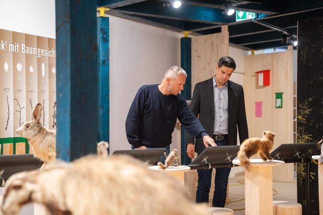 Das Naturmuseum im Stift Neuberg wird am 12. Mail offiziell eröffnet. | Foto: Ekatarina Paller