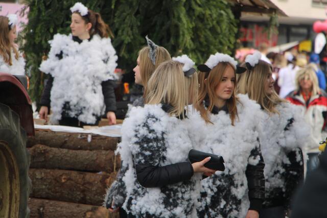 Foto: MeinBezirk/Hofmüller
