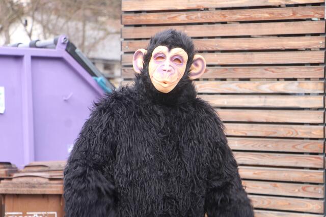 Foto: MeinBezirk/Hofmüller