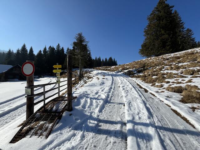 Los geht's! | Foto: Franziska Pronneg