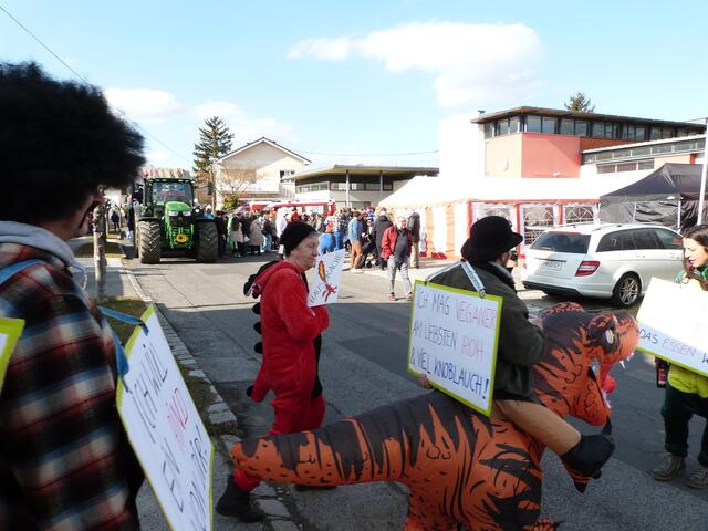 Foto: Vanessa Wittmann