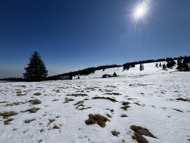 Ein herrlicher Tag auf der Brendlalm. | Foto: Franziska Pronneg