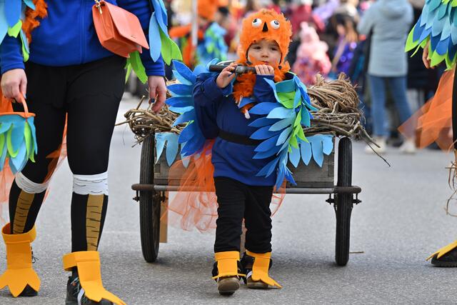 Foto: Wolfgang Spitzbart