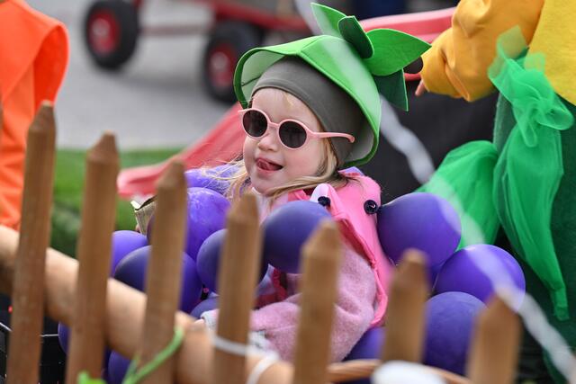 Foto: Wolfgang Spitzbart