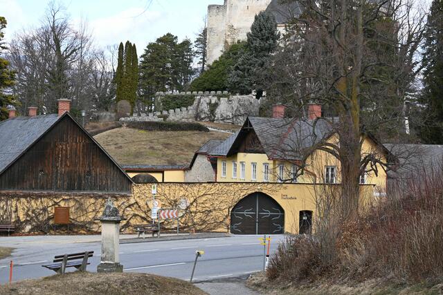 Burg Wartenstein
