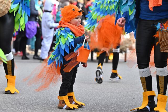 Foto: Wolfgang Spitzbart