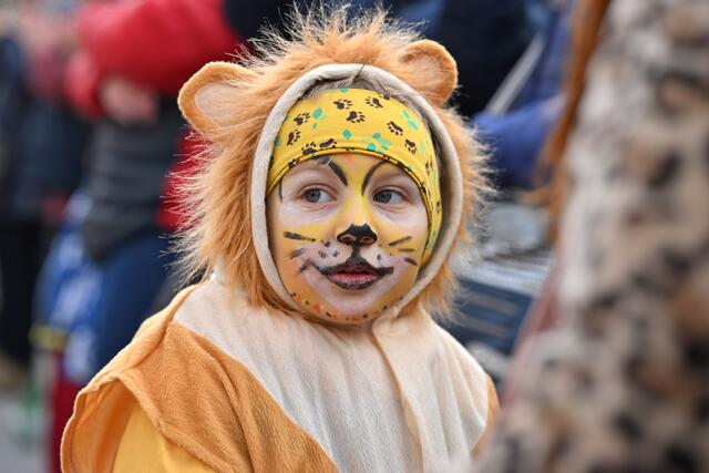 Foto: Wolfgang Spitzbart