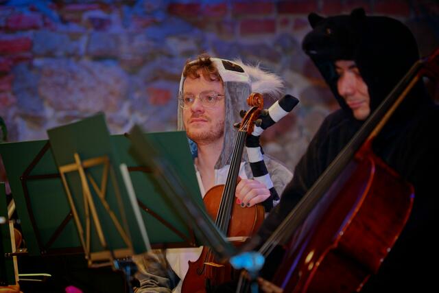 Foto: (c) Gerhard Schwingenschlögl