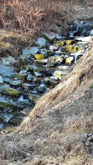 der Bach plätschert parallel zur Straße fröhlich vor sich hin... | Foto: I.Wozonig